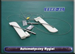 Automatyczny Rygiel