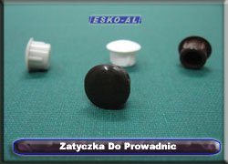 Zatyczka do Prowadnicy